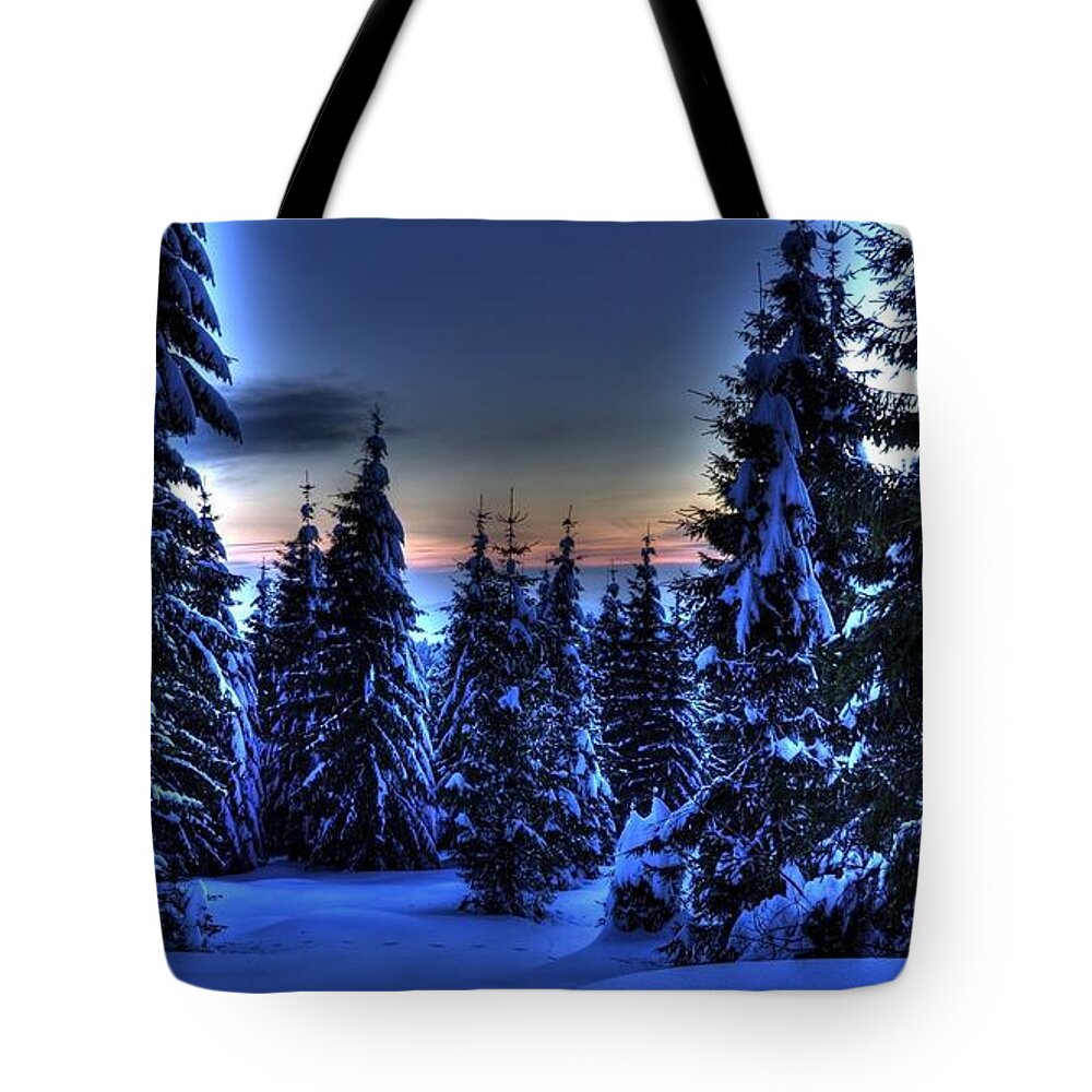 Winter Tote Bag featuring the photograph Winter #62 by Jackie Russo