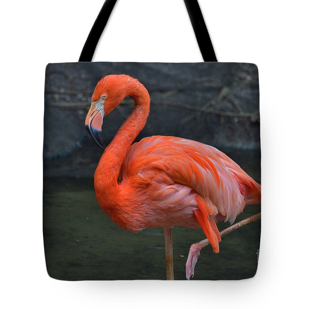 American Flamingo Tote Bag featuring the photograph 63- American Flamingo by Joseph Keane