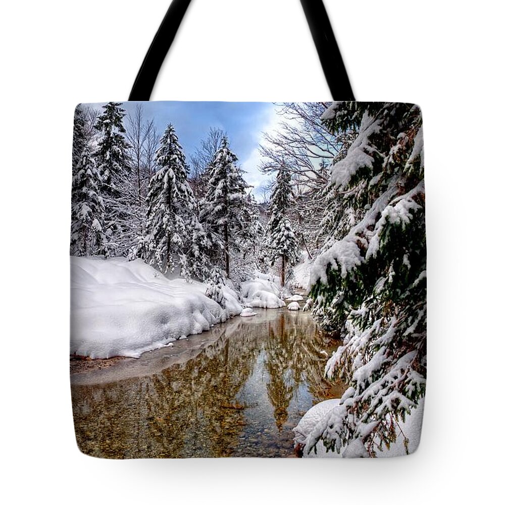 Winter Tote Bag featuring the digital art Winter #63 by Super Lovely