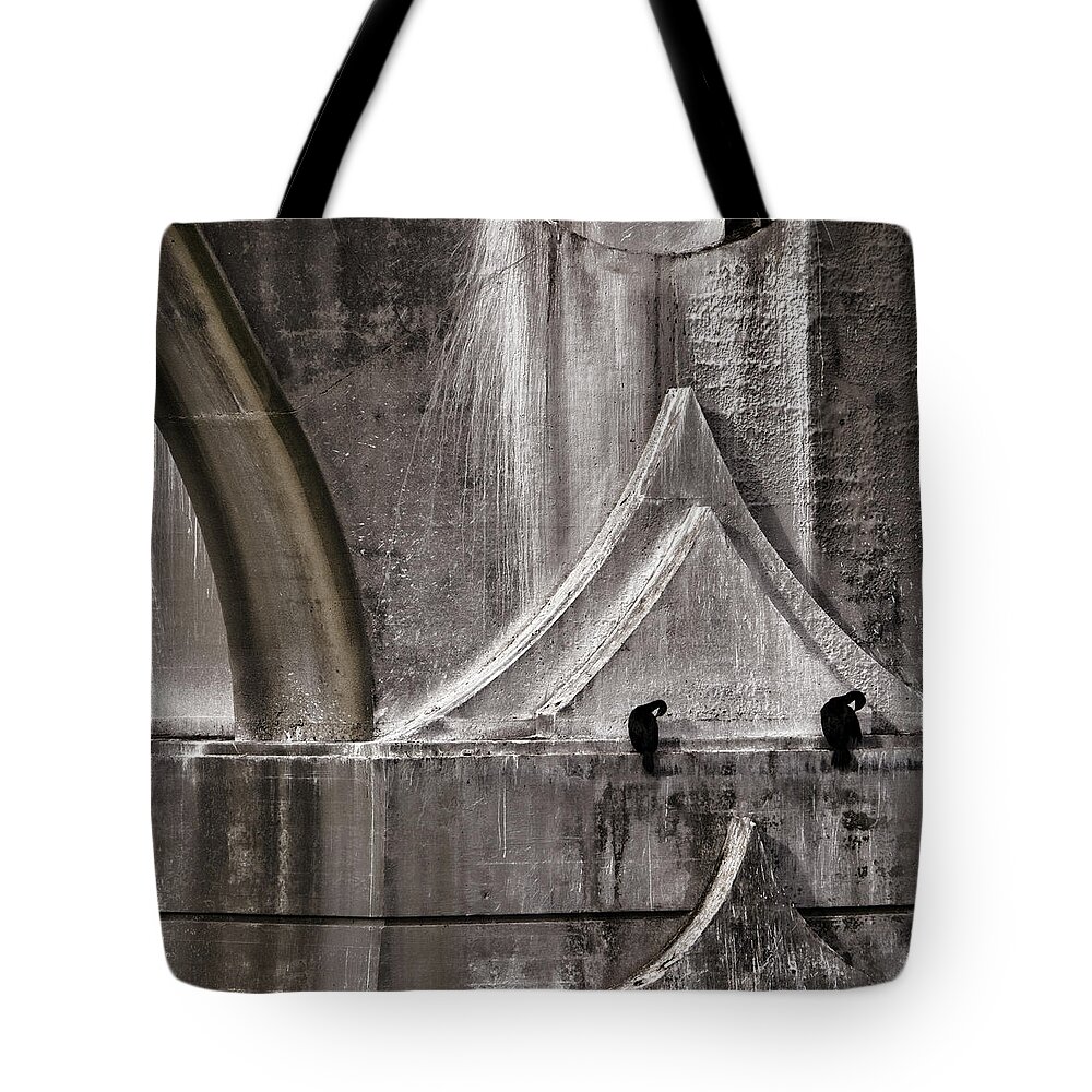 Architecture Tote Bag featuring the photograph Architectural Detail by Carol Leigh