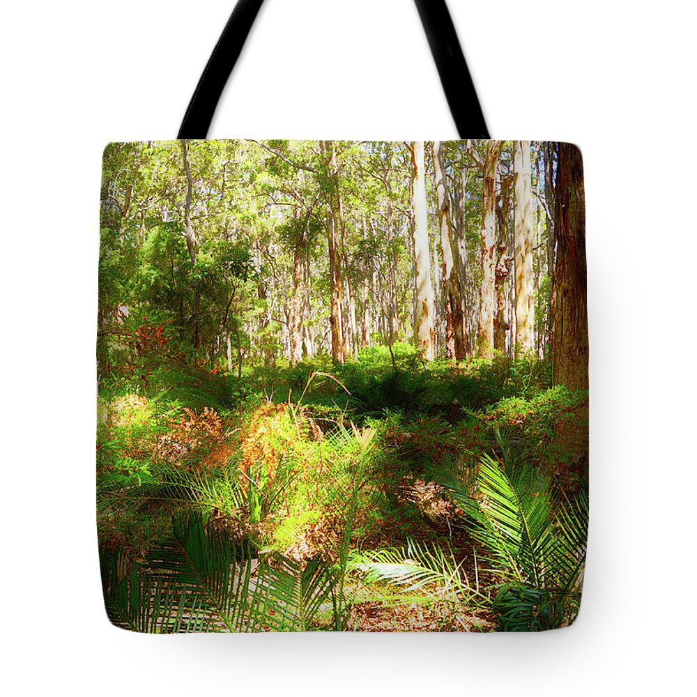 Boranup Forest Tote Bag featuring the photograph Boranup Forest II #7 by Cassandra Buckley
