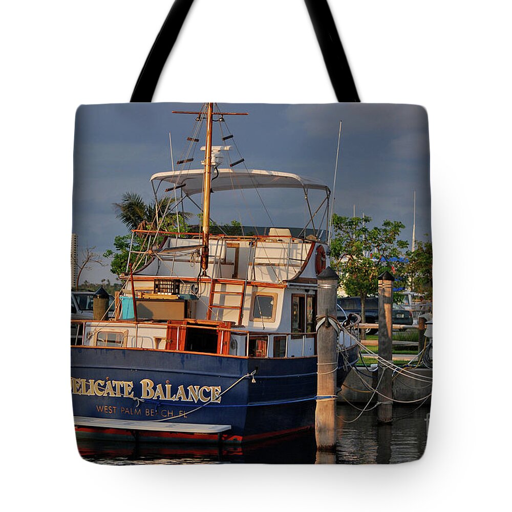 Lake Park Marina Tote Bag featuring the photograph 7- Delicate Balance by Joseph Keane