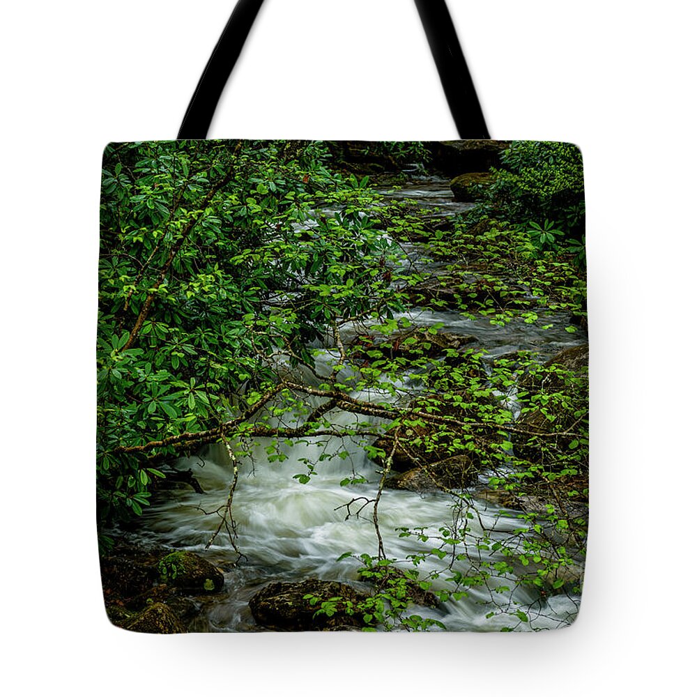 Kens Creek Tote Bag featuring the photograph Kens Creek Cranberry Wilderness #7 by Thomas R Fletcher