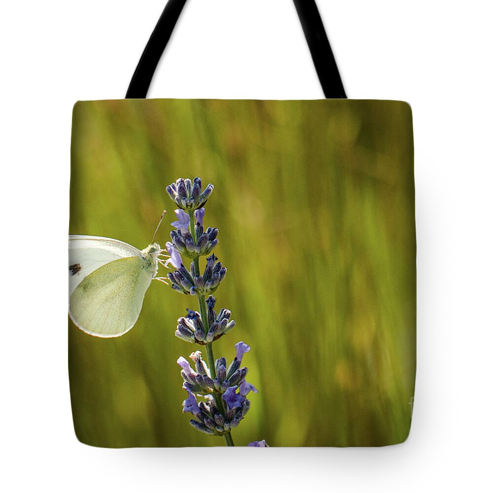 Animal Tote Bag featuring the photograph Pieris brassicae, the large white, also called cabbage butterfly by Amanda Mohler