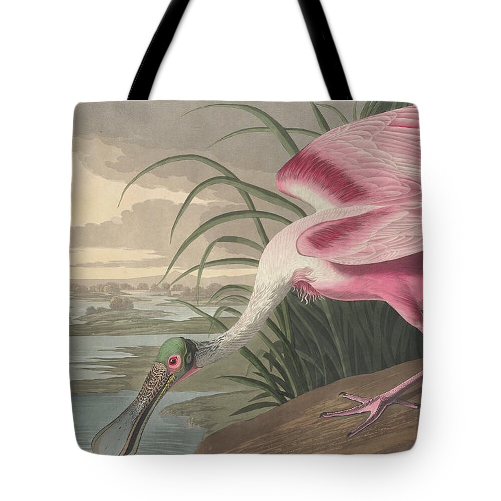 Roseate Spoonbill Tote Bag featuring the painting Roseate Spoonbill by John James Audubon