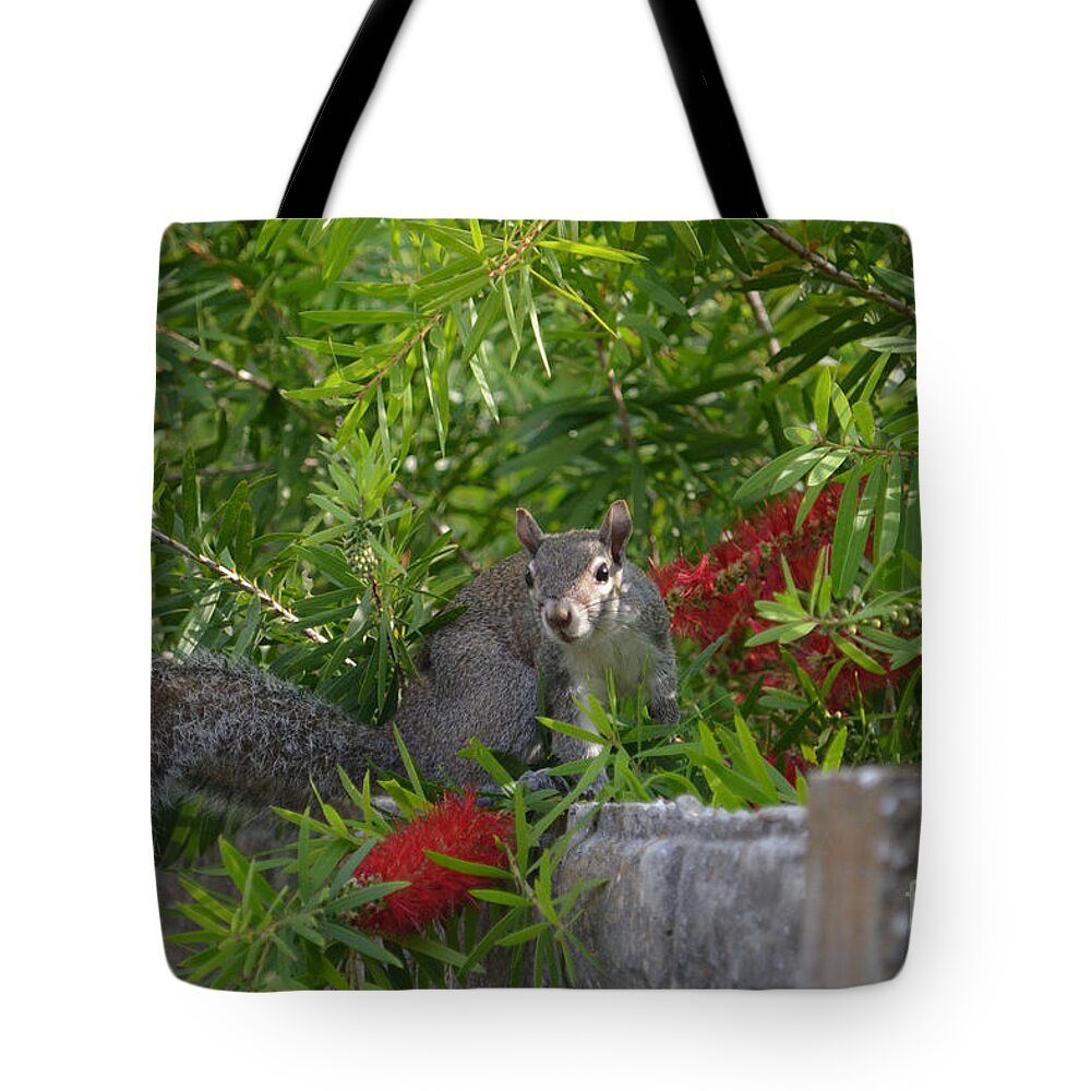 Squirrel Tote Bag featuring the photograph 7- Squirrel by Joseph Keane