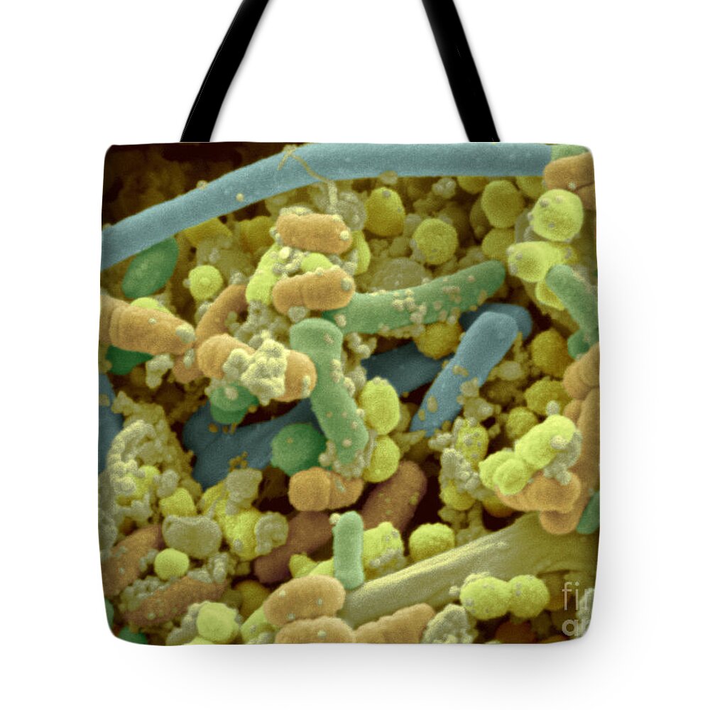 Cocci Tote Bag featuring the photograph Streptococcus Pyogenes #7 by Scimat
