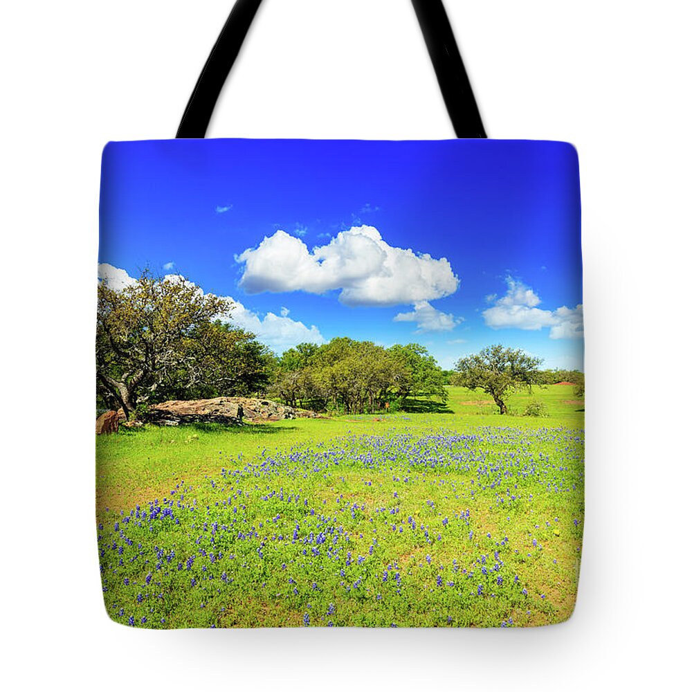 Austin Tote Bag featuring the photograph Texas Hill Country #7 by Raul Rodriguez