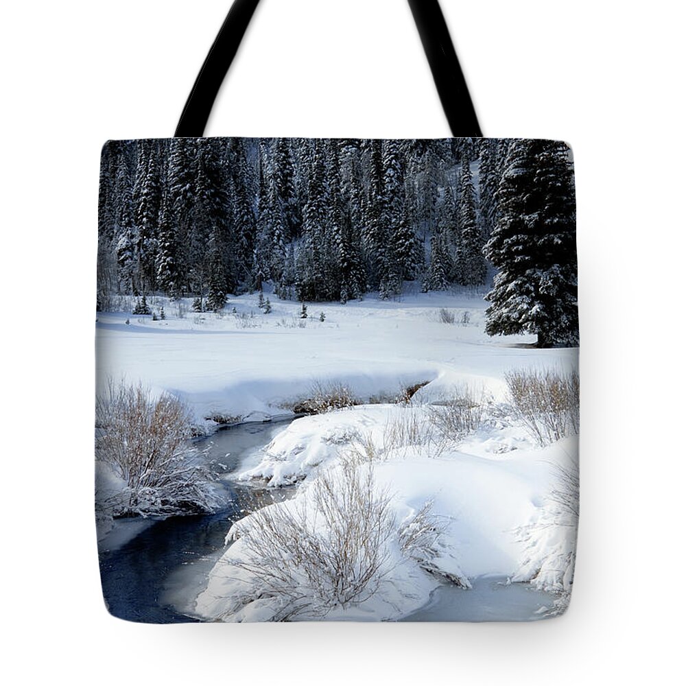 Wasatch Mountains Tote Bag featuring the photograph Wasatch Mountains in Winter #7 by Douglas Pulsipher