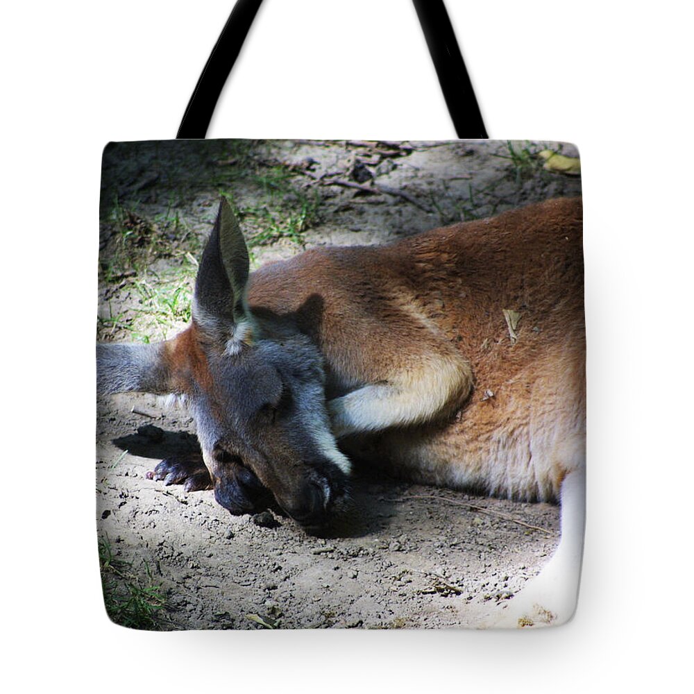 Zoo Tote Bag featuring the photograph Zoo Scapes #7 by Jean Wolfrum