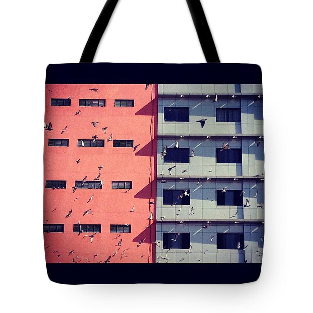 Birds Tote Bag featuring the photograph Instagram Photo by Khushboo N
