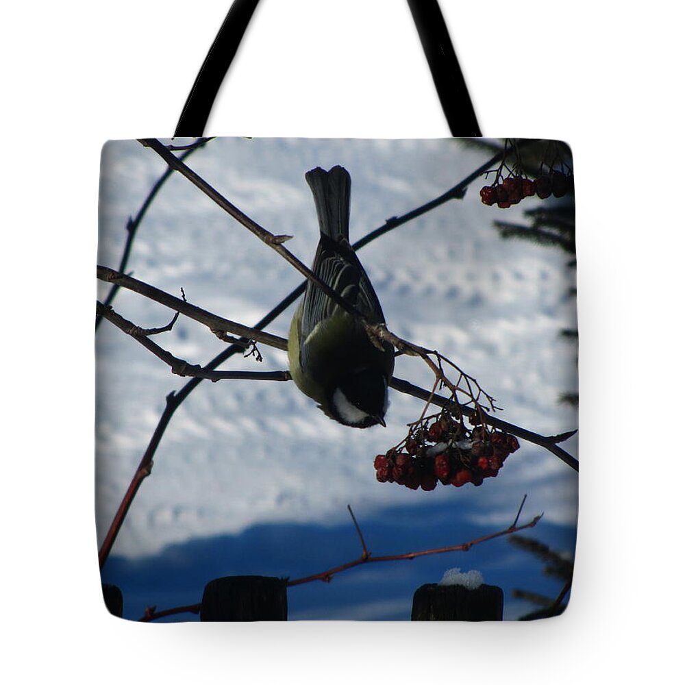 Bird Tote Bag featuring the photograph Bird #78 by Jackie Russo