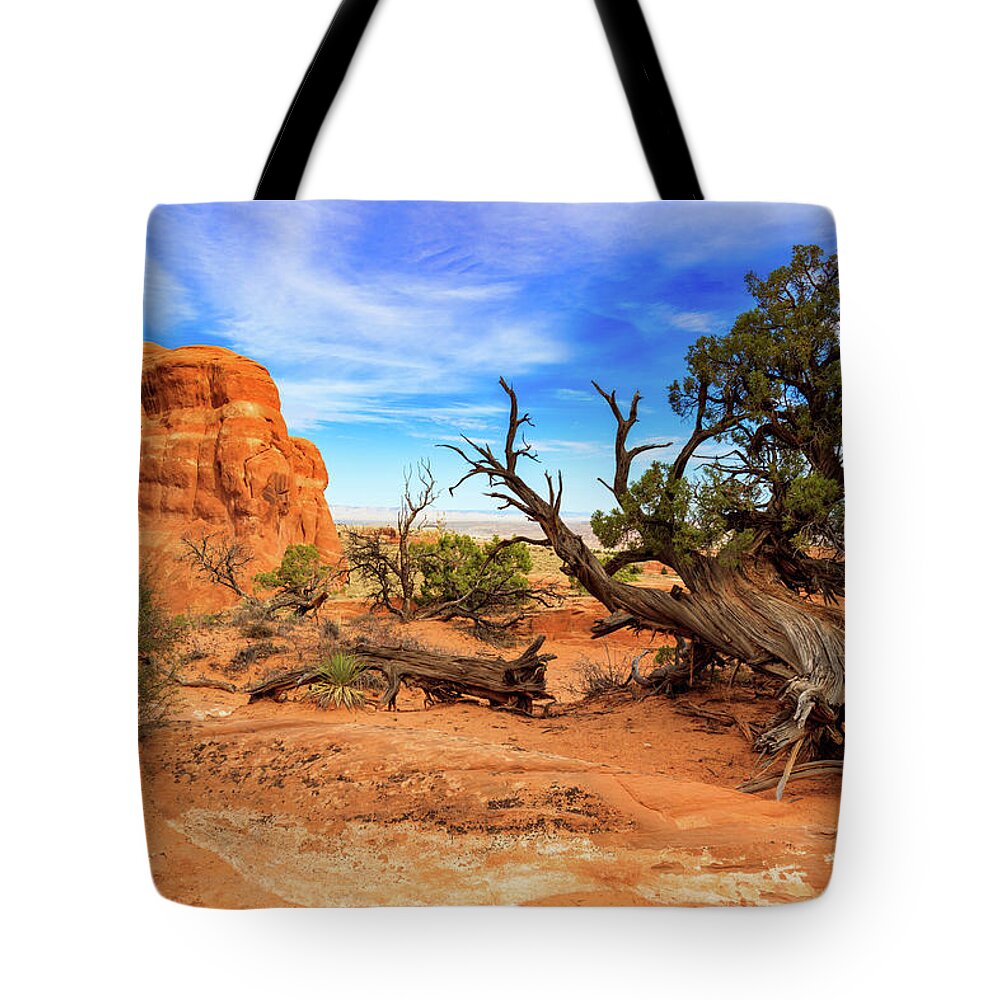 Arches National Park Tote Bag featuring the photograph Arches National Park by Raul Rodriguez