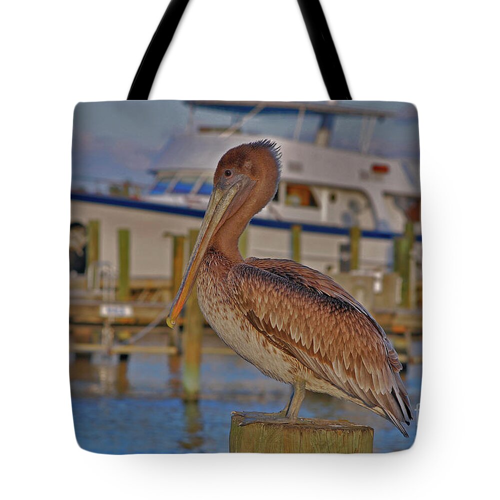 Brown Pelican Tote Bag featuring the photograph 8- Brown Pelican by Joseph Keane