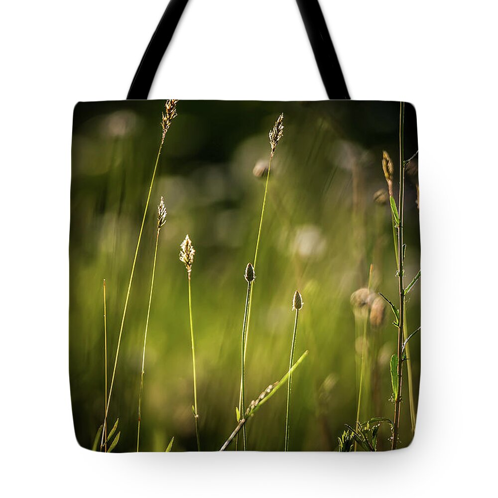 Field Tote Bag featuring the photograph Daisy Flower Bloom On A Meadow In Summer #8 by Alex Grichenko
