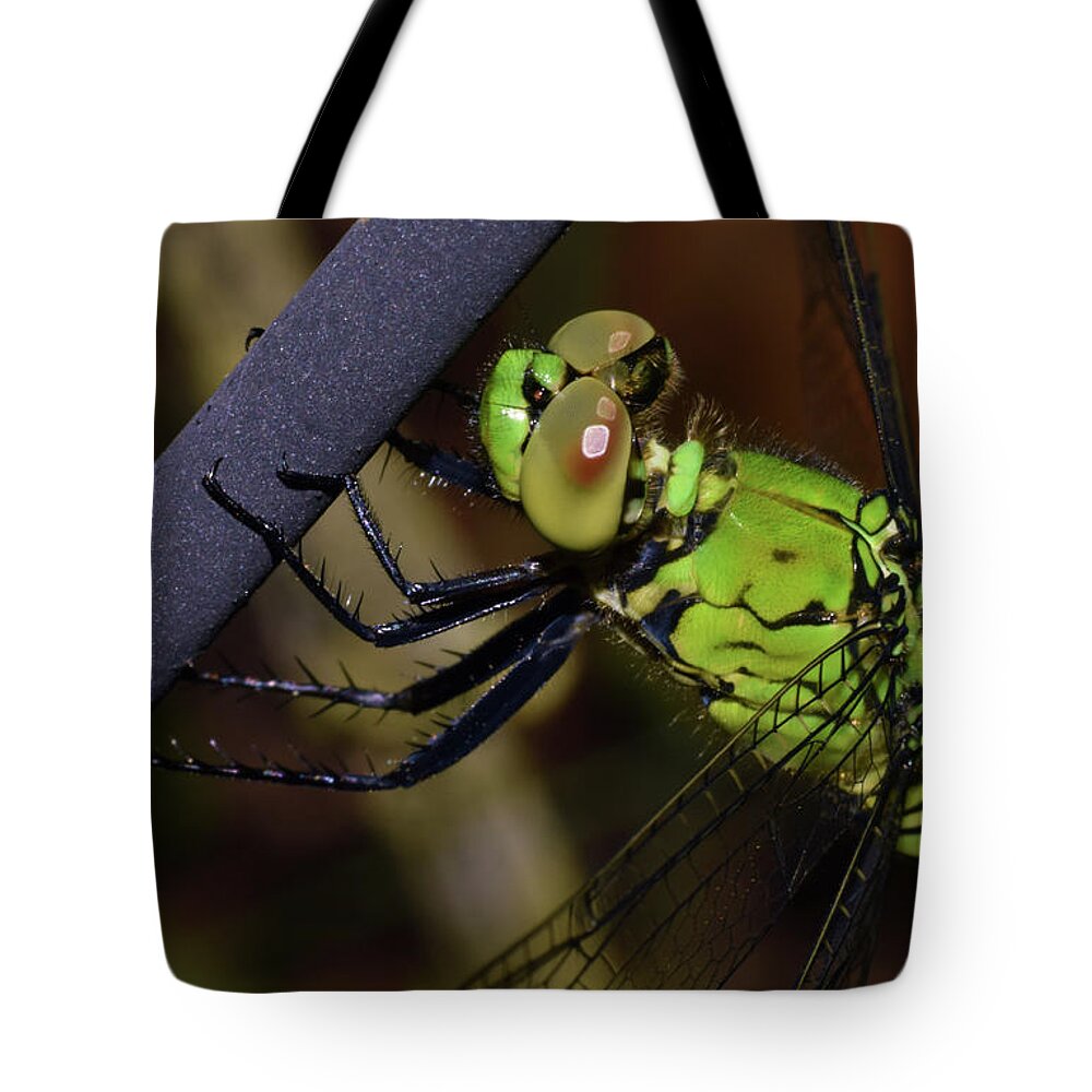 Photograph Tote Bag featuring the photograph Dragonfly #8 by Larah McElroy