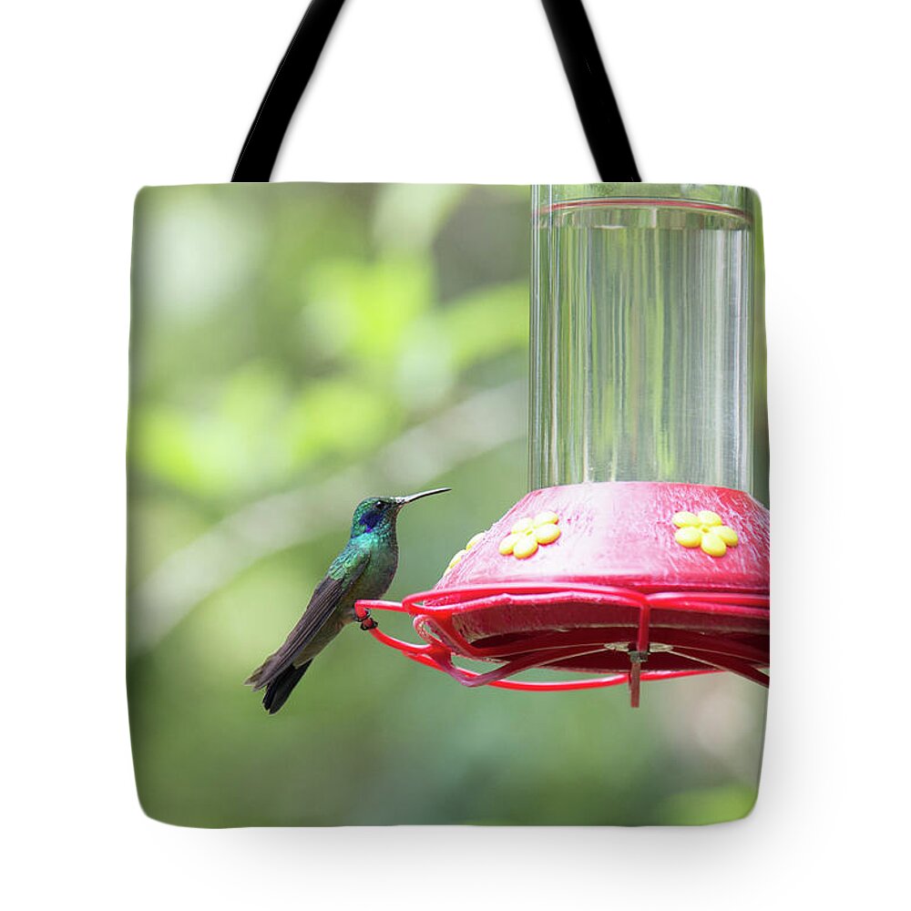 Animals Tote Bag featuring the digital art Hummingbirds #8 by Carol Ailles