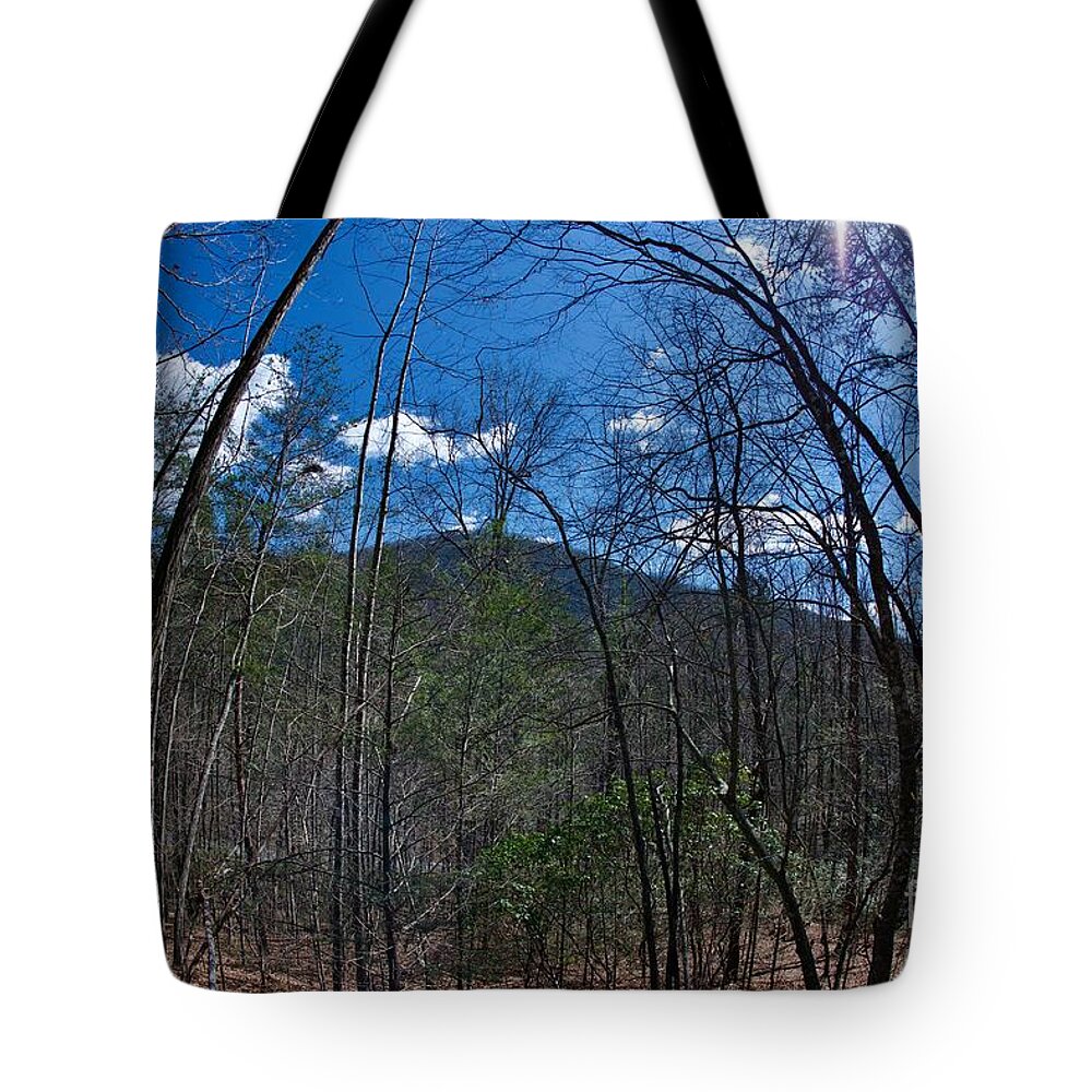 Lake Lure Tote Bag featuring the photograph Lake Lure #8 by Buddy Morrison
