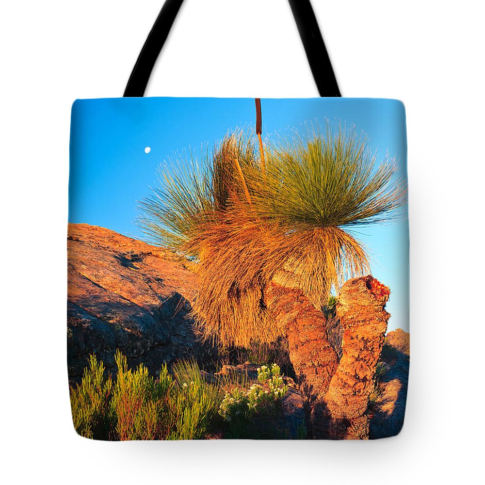 Wilpena Pound St Mary Peak Filinders Ranges South Australia Australain Landscape Landscapes Outback Moon Xanthorhoea Tote Bag featuring the photograph Wilpena Pound #8 by Bill Robinson
