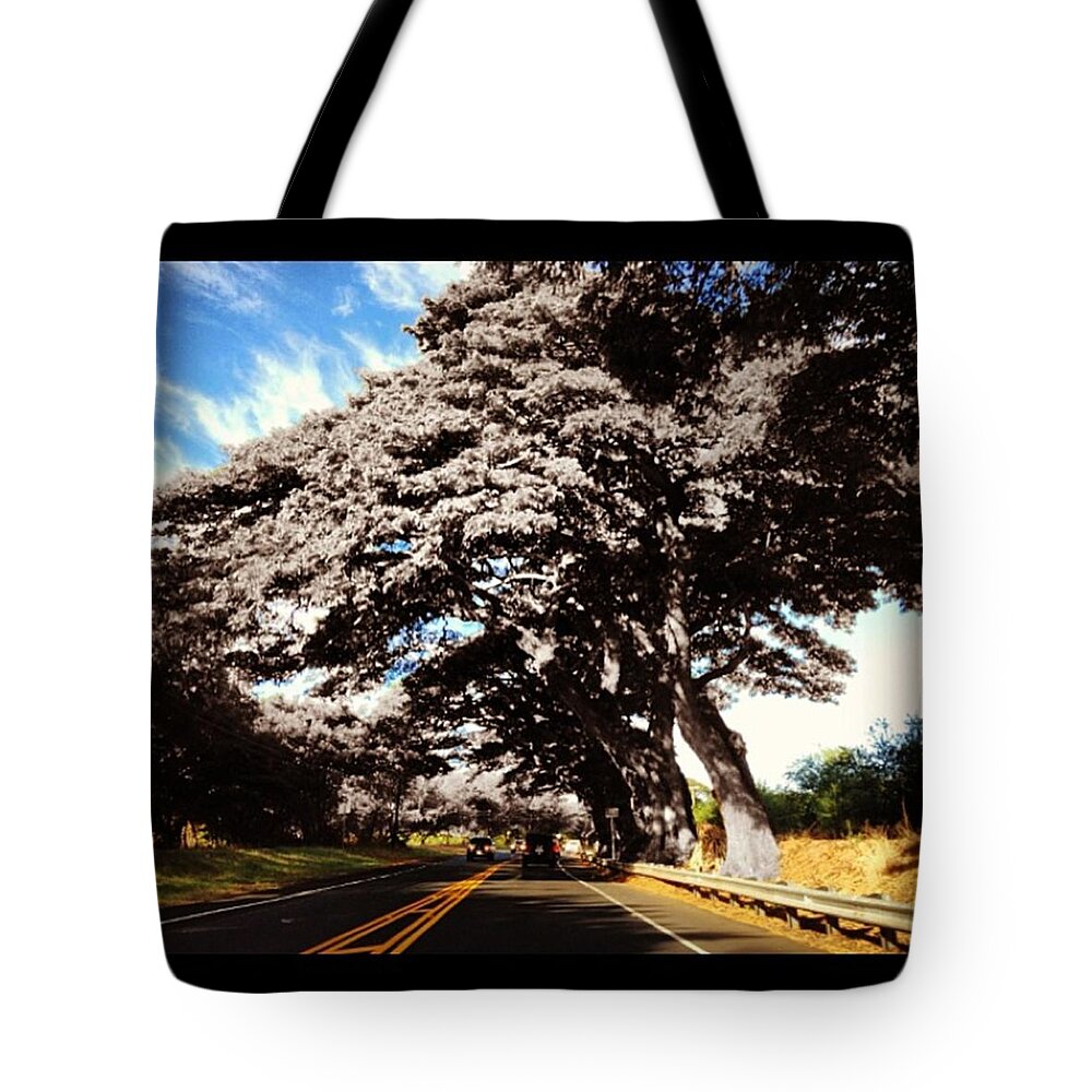 Beautiful Tote Bag featuring the photograph Instagram Photo #851438138584 by Gary Sumner