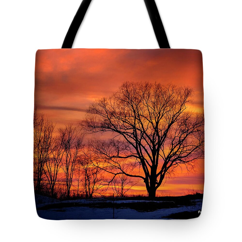  Tote Bag featuring the photograph 8x10 Magnificient Morning by Peg Runyan