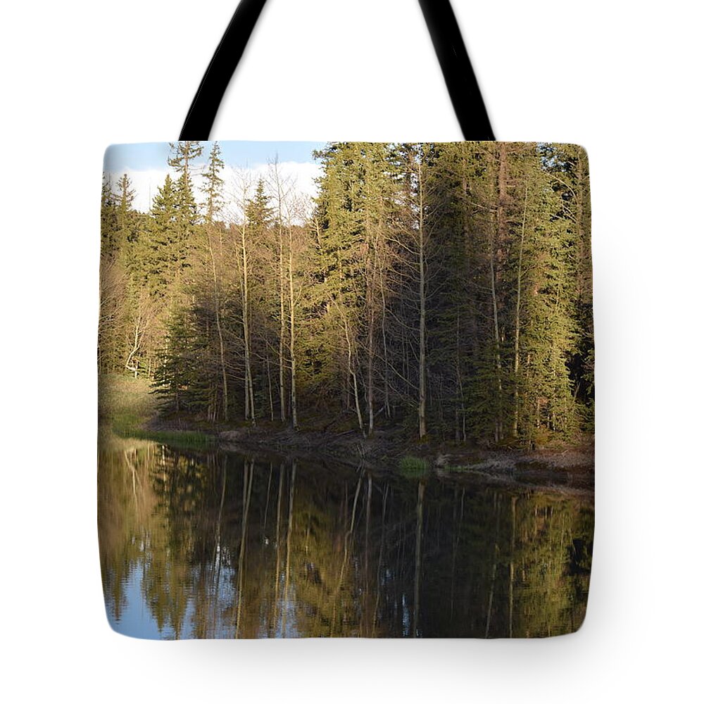 Blue Tote Bag featuring the photograph Shadow Reflection Kiddie Pond Divide CO by Margarethe Binkley