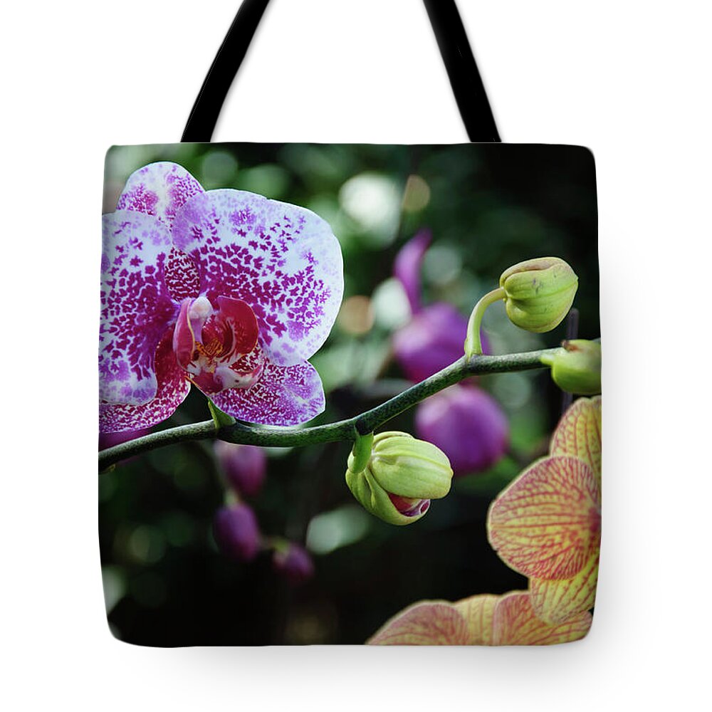 Flower Tote Bag featuring the photograph Butterfly orchid flowers #9 by Carl Ning