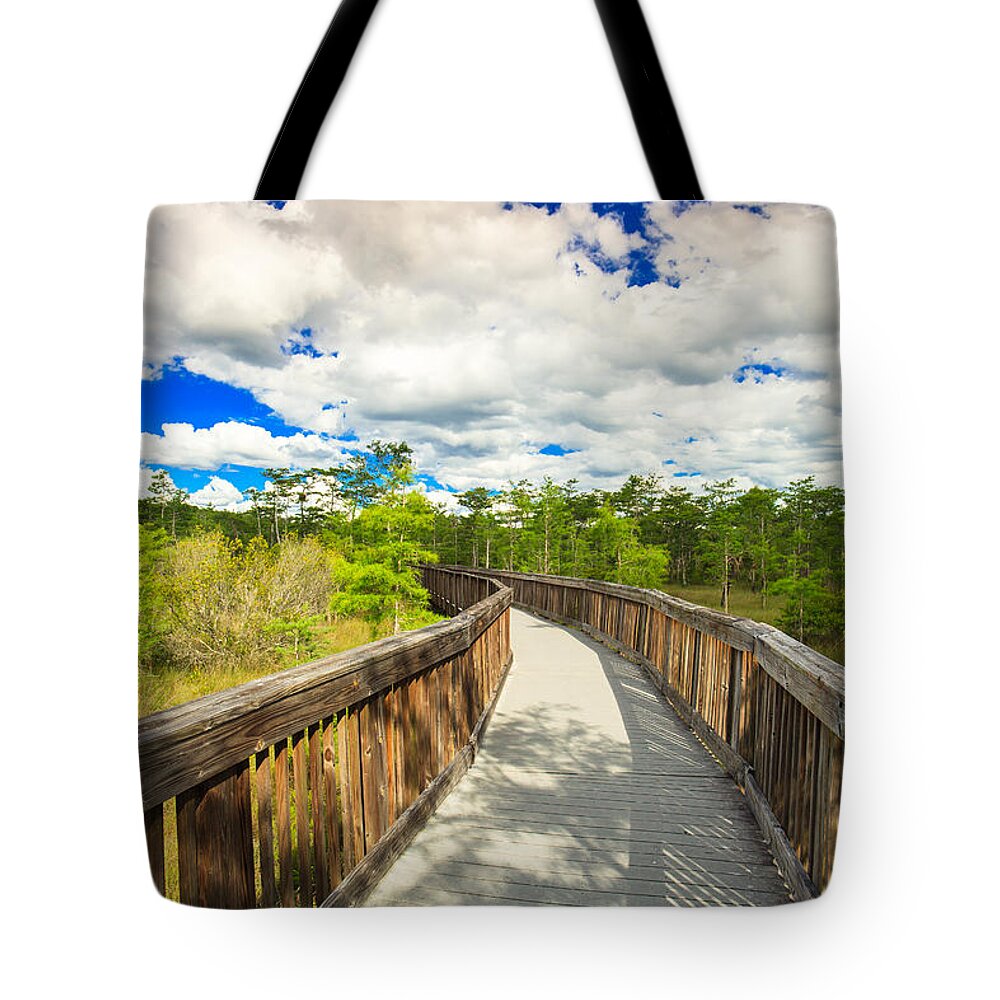 Everglades Tote Bag featuring the photograph Florida Everglades #9 by Raul Rodriguez