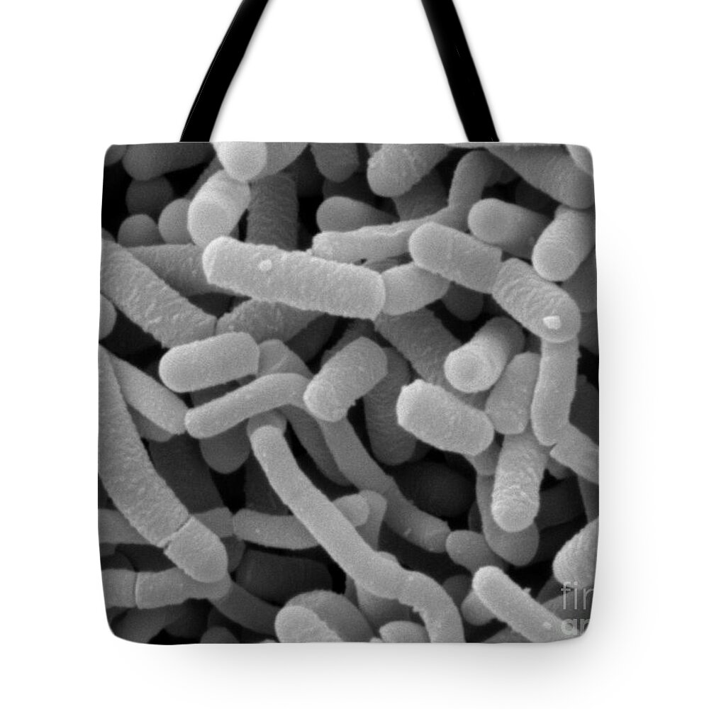 Lactobacillus Tote Bag featuring the photograph Lactobacillus Acidophilus And L. Casei #9 by Scimat