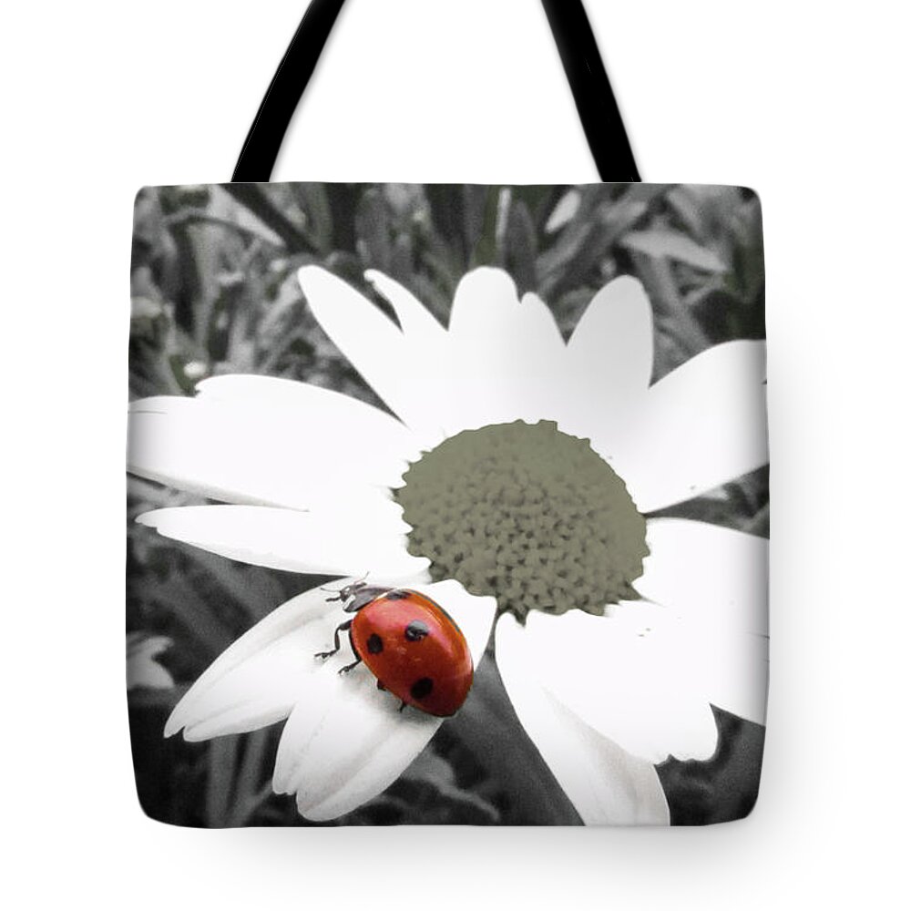 Daisy Flower Tote Bag featuring the photograph Ladybug #9 by Cesar Vieira