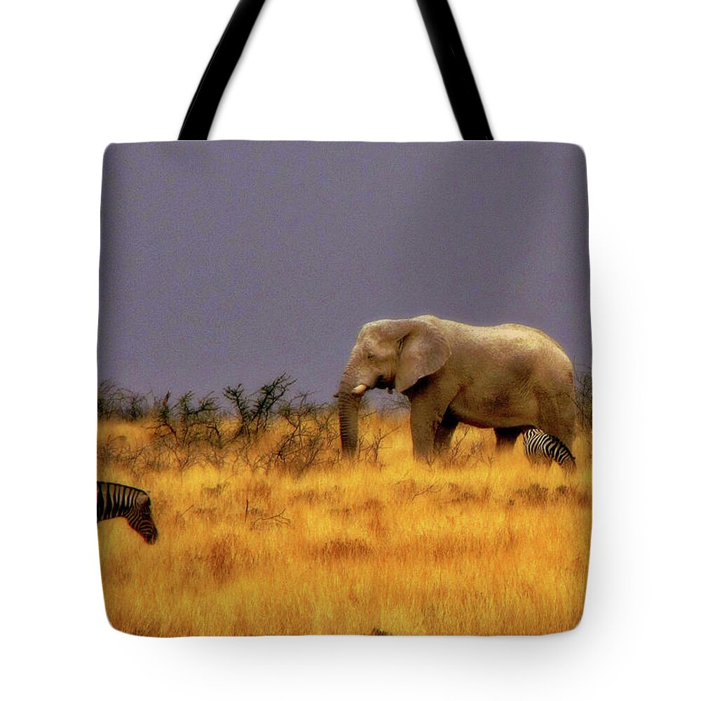 Namibia Tote Bag featuring the photograph Namibia #9 by Paul James Bannerman