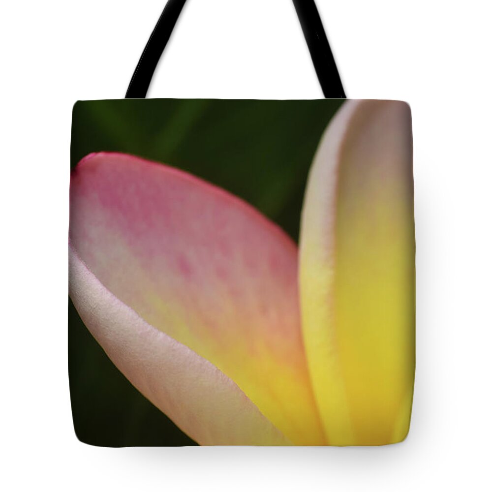 Photograph Tote Bag featuring the photograph Plumaria #9 by Larah McElroy