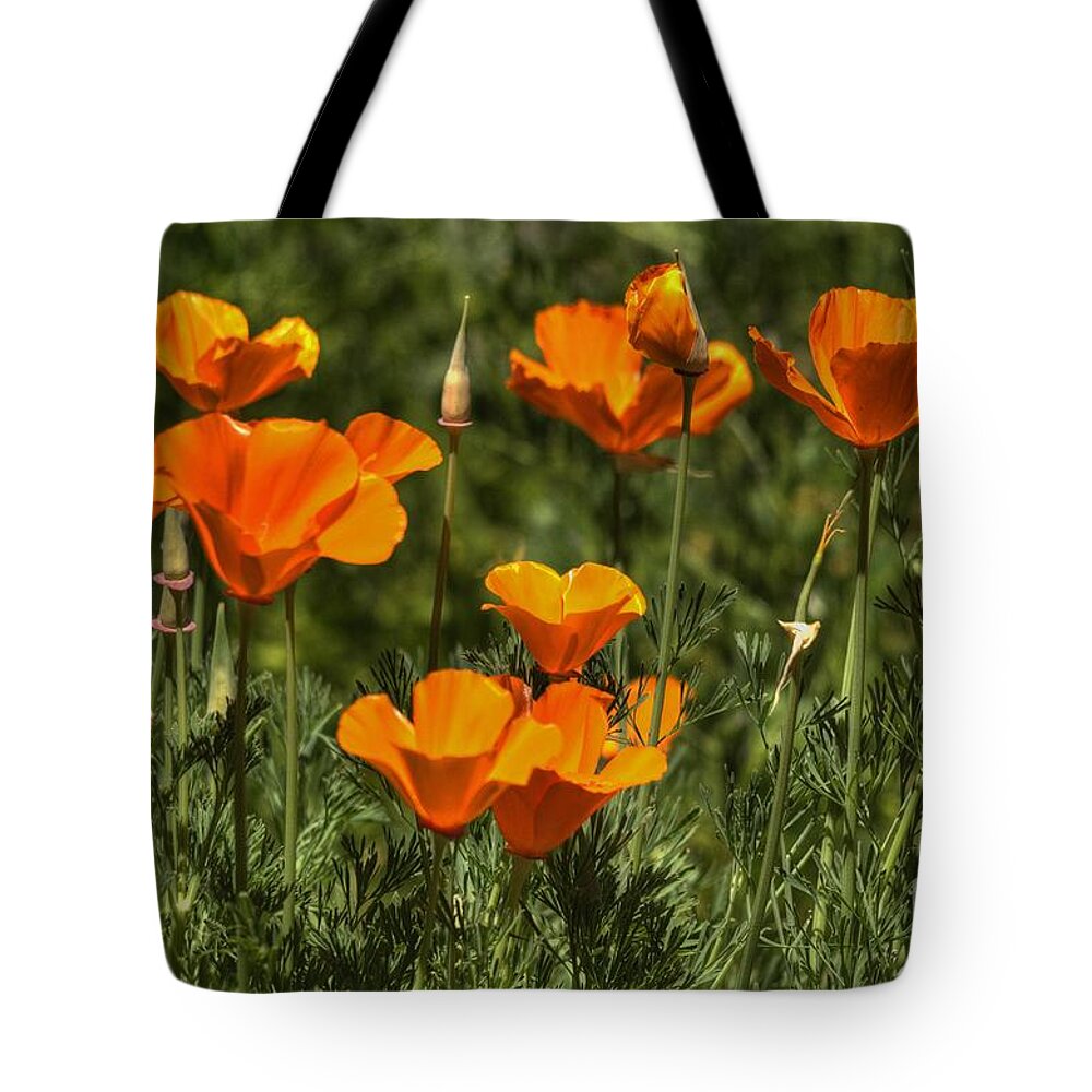 Poppies Tote Bag featuring the photograph Poppies #9 by Marc Bittan