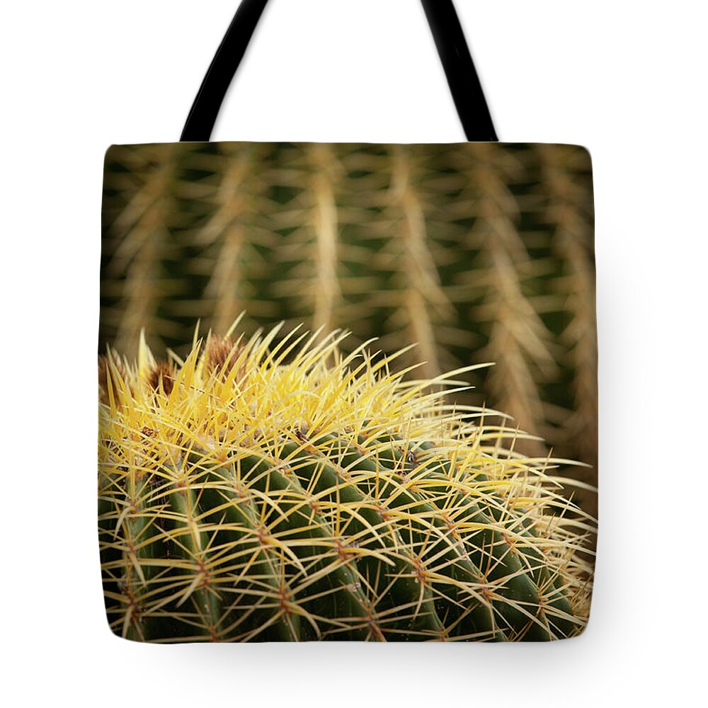 Cactus Tote Bag featuring the photograph Textures of Arizona #10 by John Magyar Photography