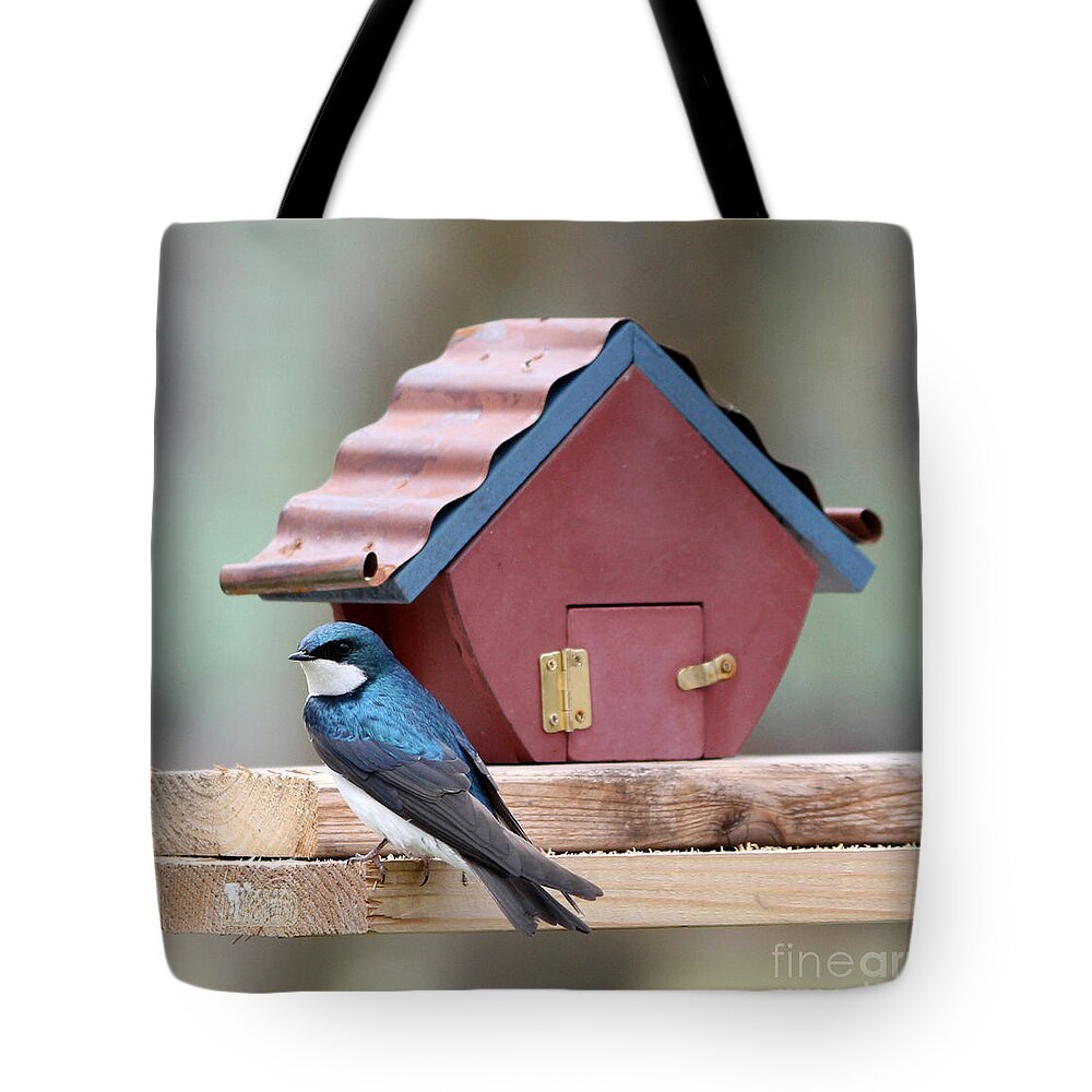Finch Tote Bag featuring the photograph Tree swallow #9 by Lori Tordsen