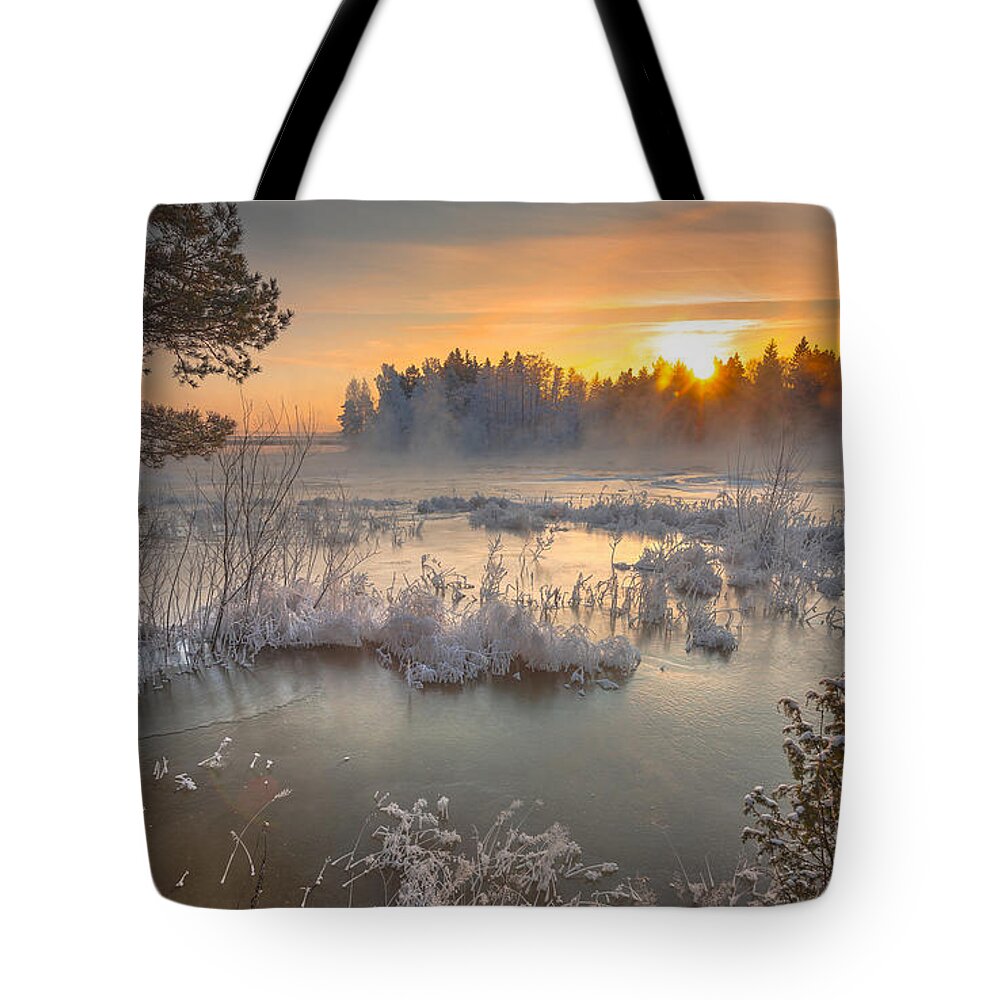 Winter Tote Bag featuring the digital art Winter #9 by Maye Loeser