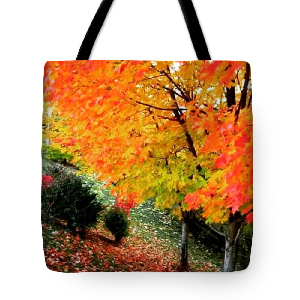 Autumn Tote Bag featuring the photograph Autumn Leaves by Angela Zalameda