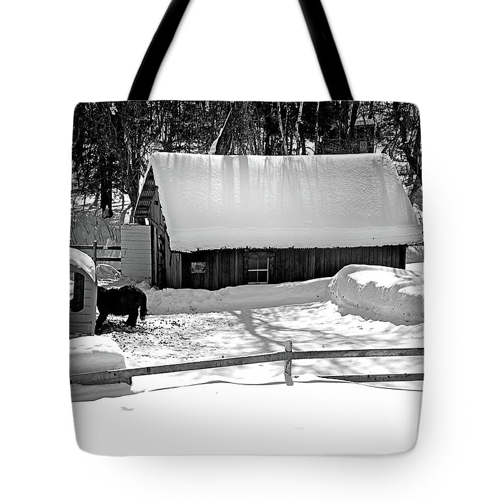  Tote Bag featuring the photograph 9978bw by Burney Lieberman