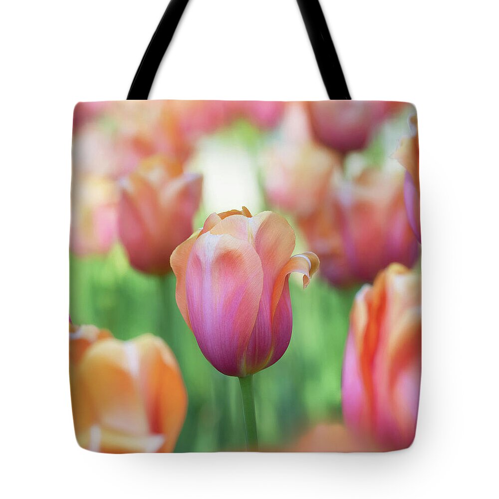 Beautiful Tote Bag featuring the photograph A bed of tulips is a feast for the eyes. by Usha Peddamatham