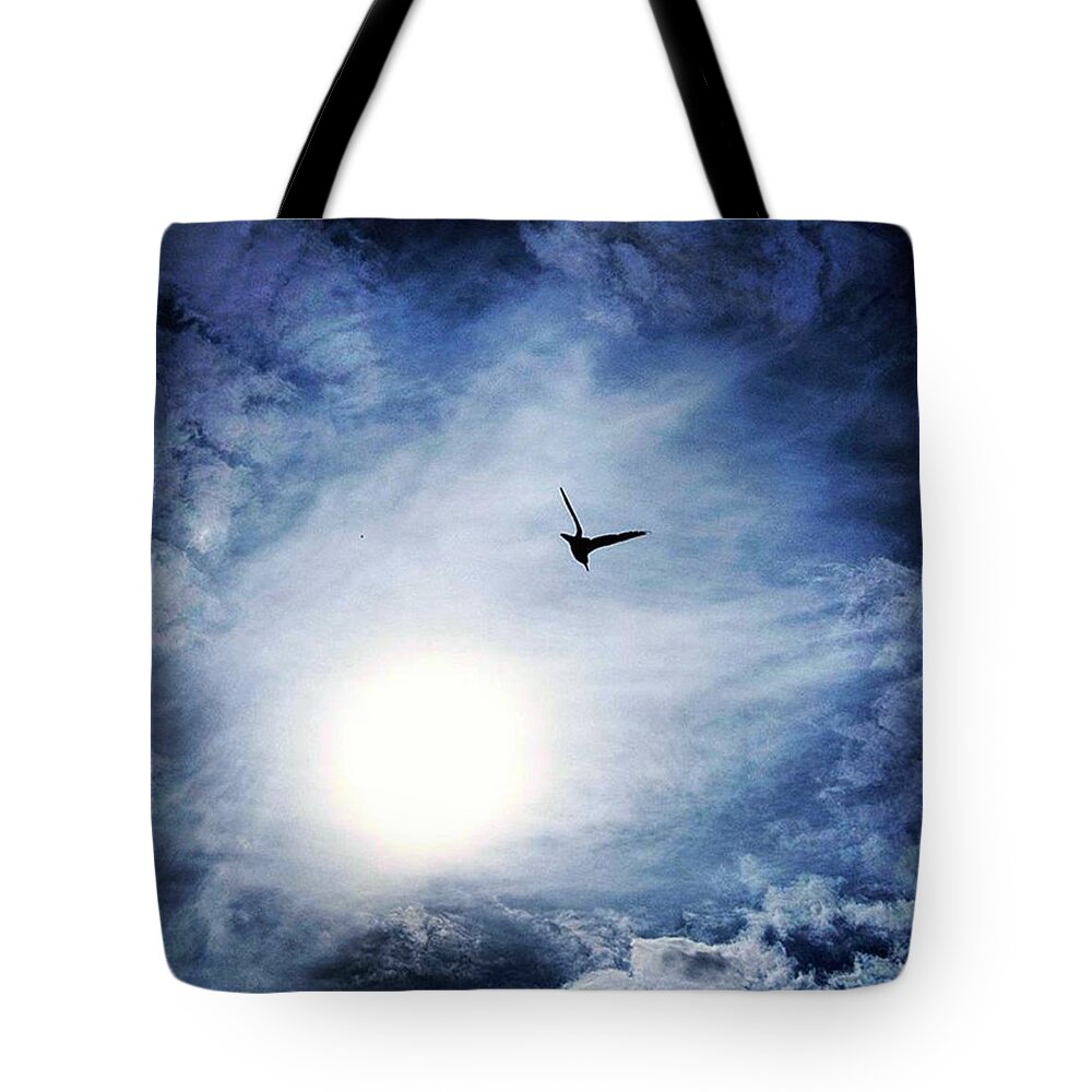Me Tote Bag featuring the photograph A Bird In Flight Hornsea by Richard Atkin