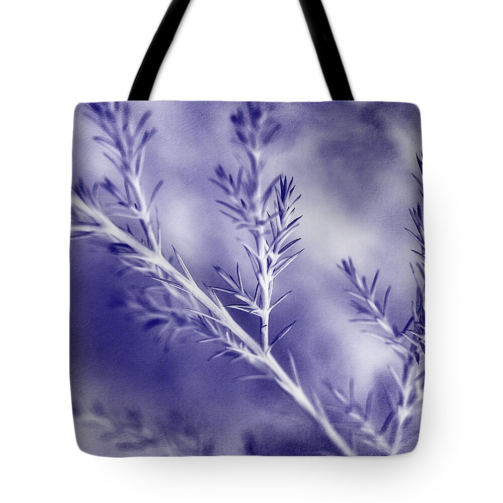 Pine Tote Bag featuring the photograph A Blue Mood by Mike Eingle