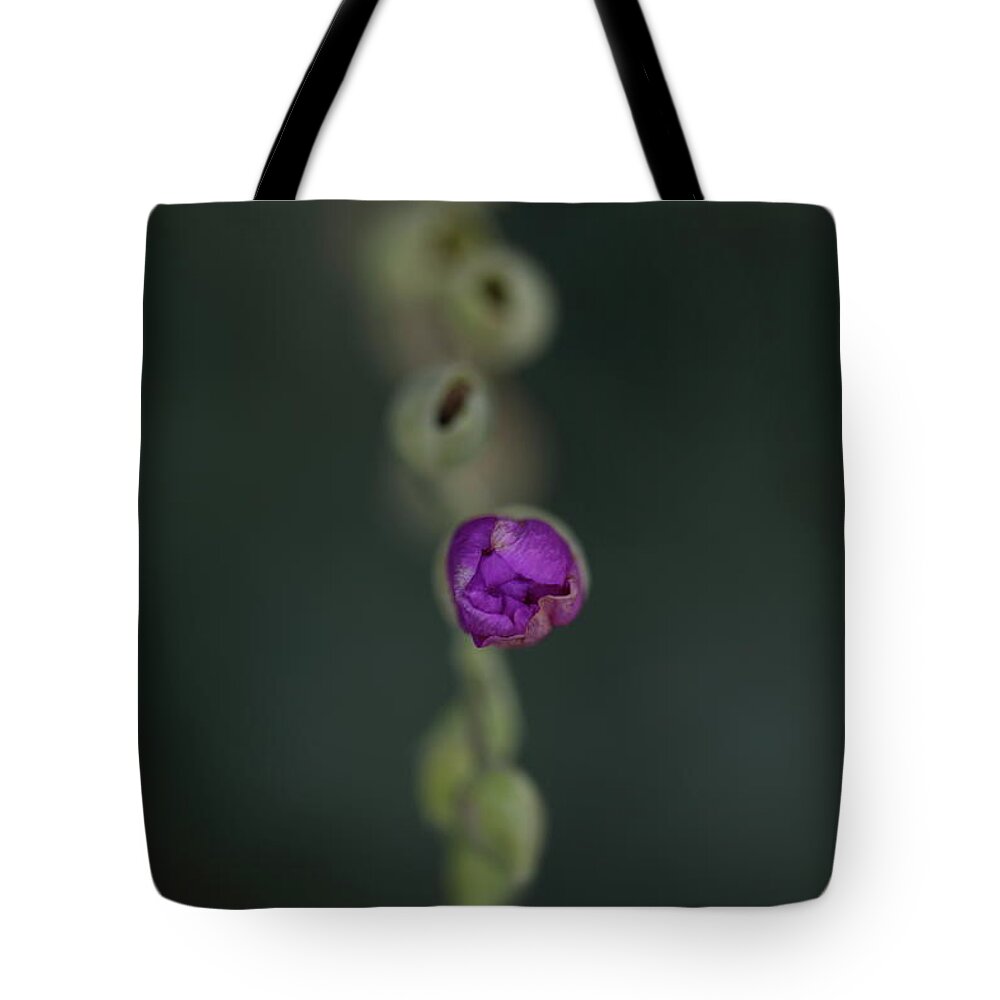 Flower Tote Bag featuring the photograph A Bud by Hyuntae Kim