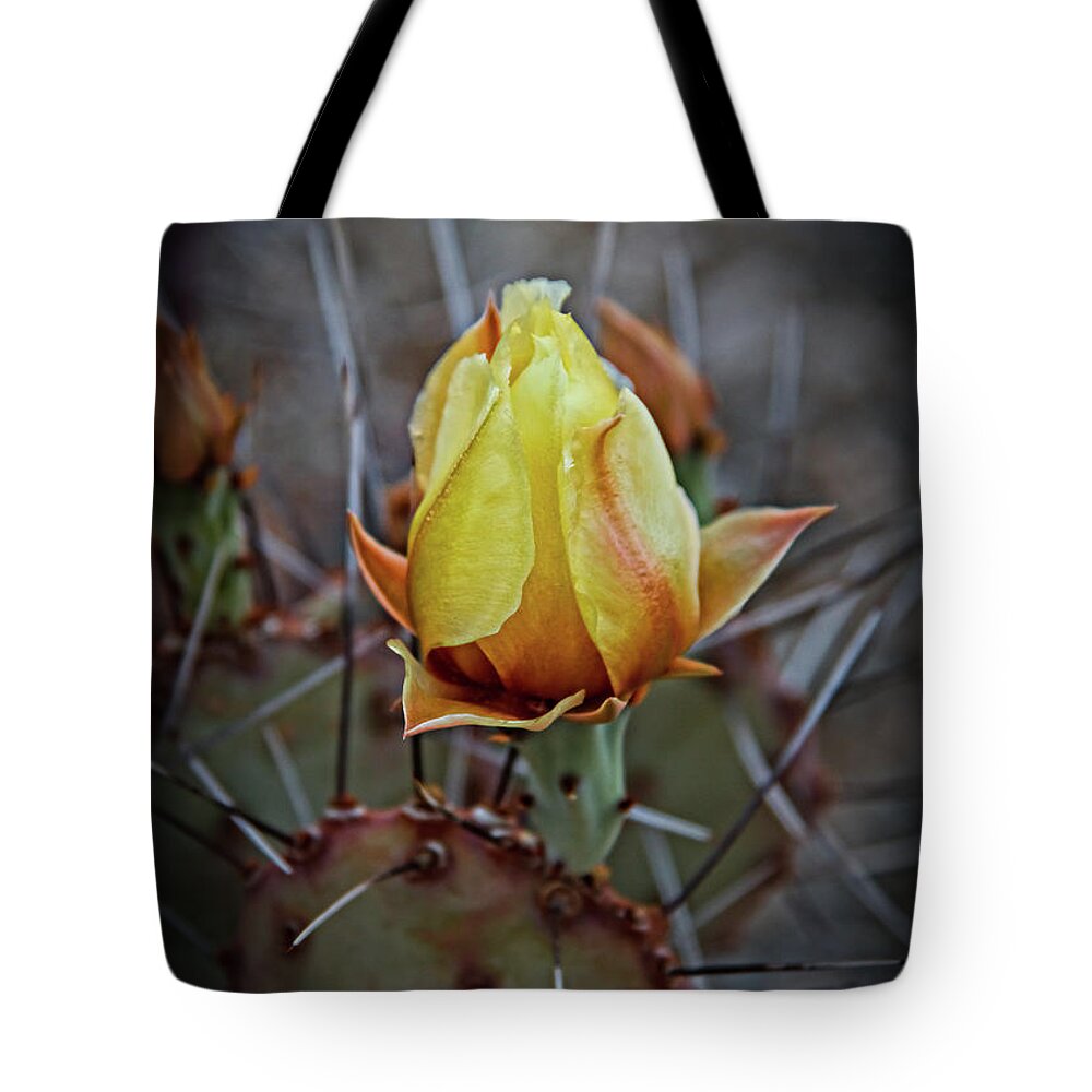 Cactus Tote Bag featuring the photograph A Bud In The Thorns by Robert Bales