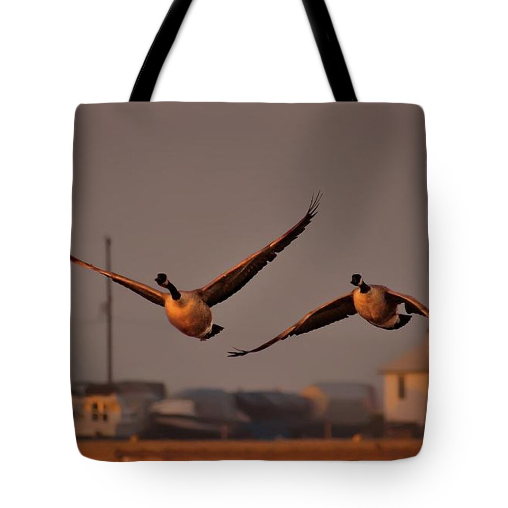 Couple Tote Bag featuring the digital art A Cinematic Moment by Jeff S PhotoArt