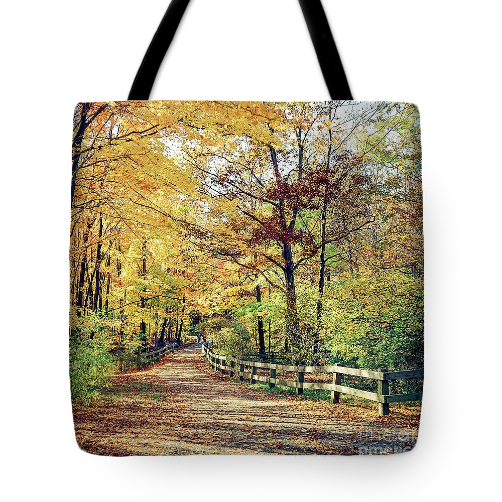 Cleveland Tote Bag featuring the photograph A colorful walk by Paul Quinn