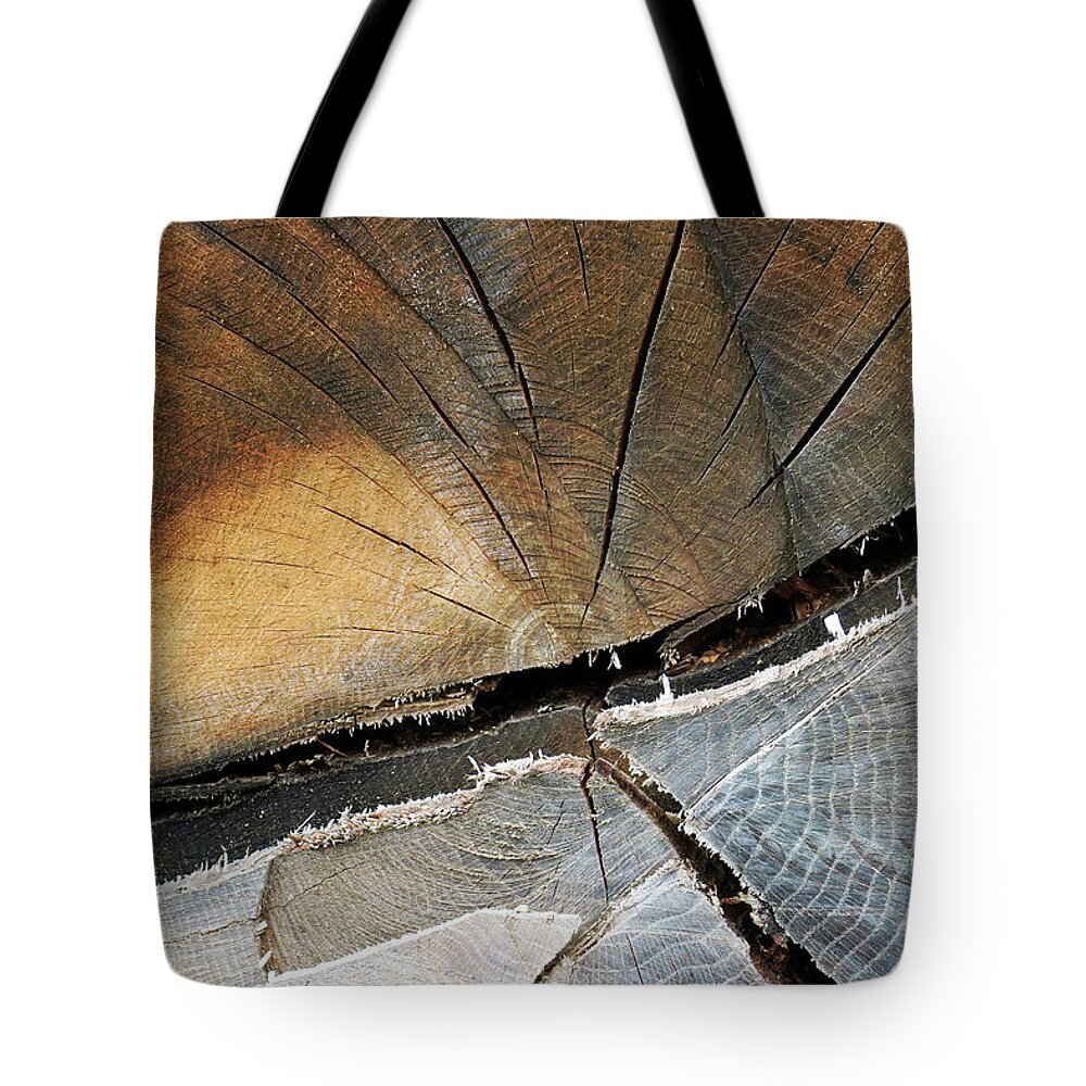 12.28.16_a Tote Bag featuring the photograph A Dead Tree by Dorin Adrian Berbier