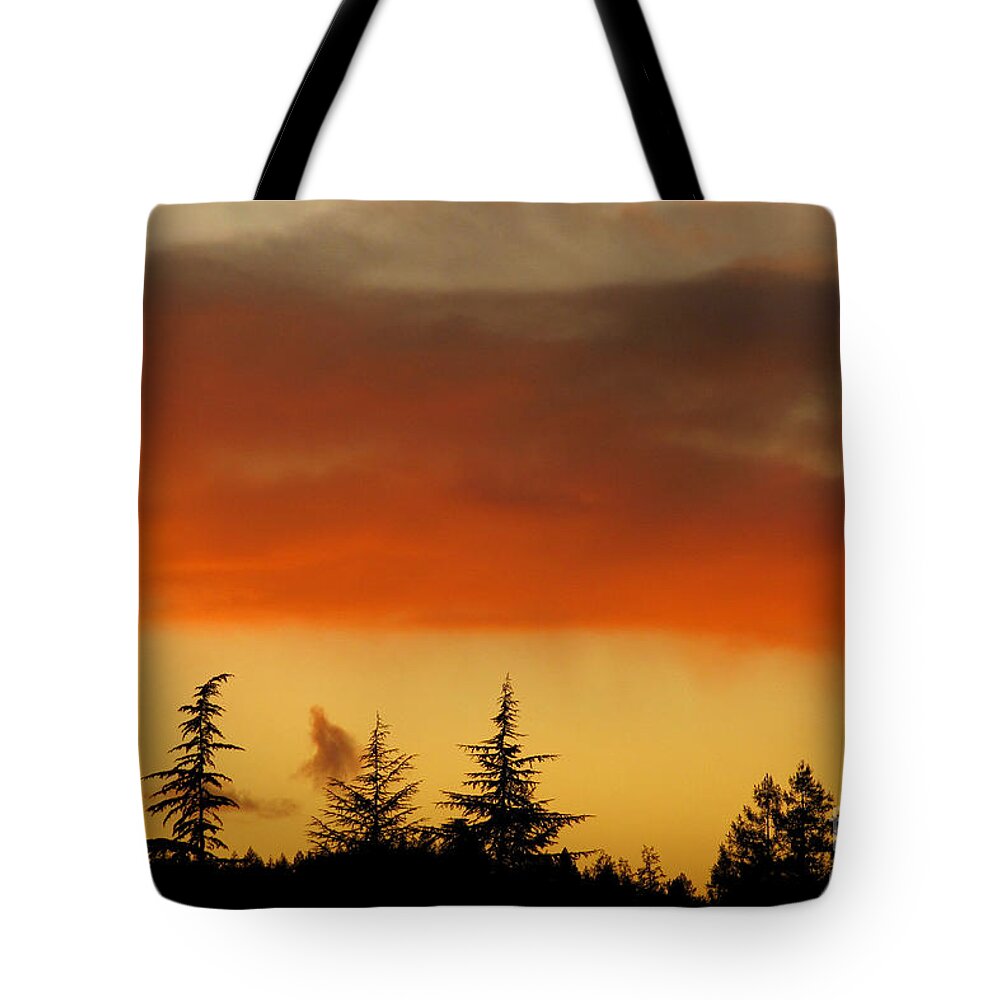 Cml Brown Tote Bag featuring the photograph A Distant Rain by CML Brown