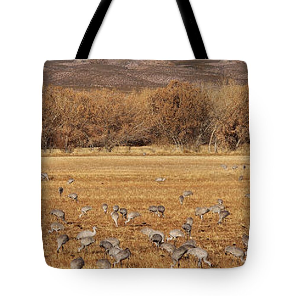 Bosque Del Apache Tote Bag featuring the photograph A Field of Cranes by Leda Robertson
