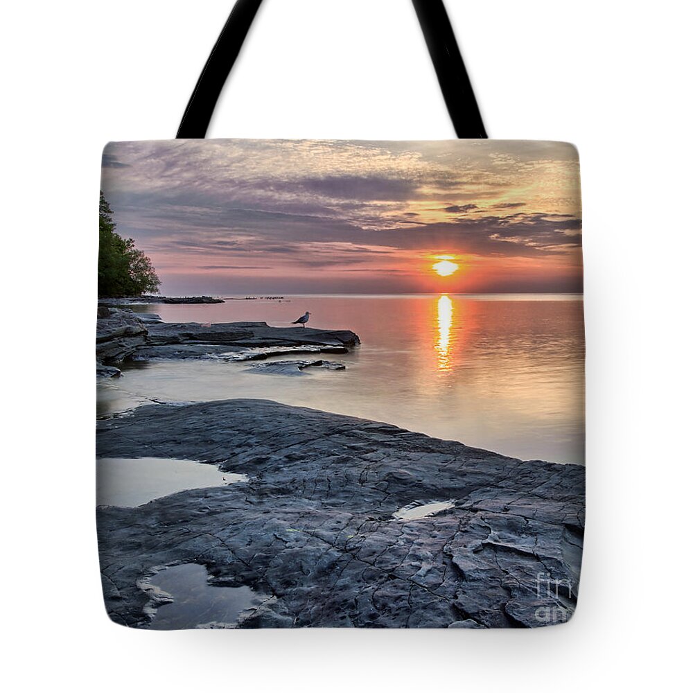 Flat Rock Tote Bag featuring the photograph A Flat Rock Sunset with Seagull by Rod Best