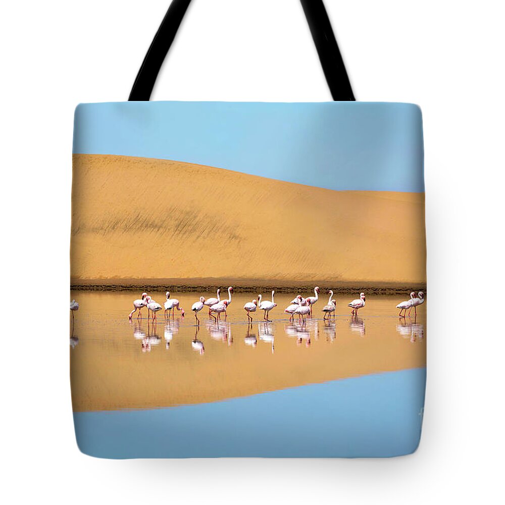 Nature Tote Bag featuring the photograph A flock of lesser flamingos in Walvis Bay, Namibia by Julia Hiebaum